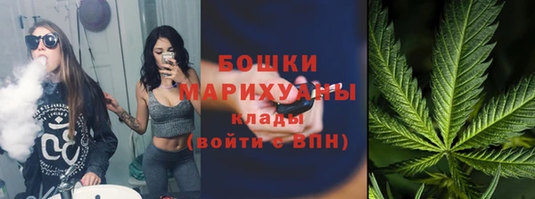 спайс Богородск