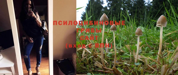 марихуана Богородицк
