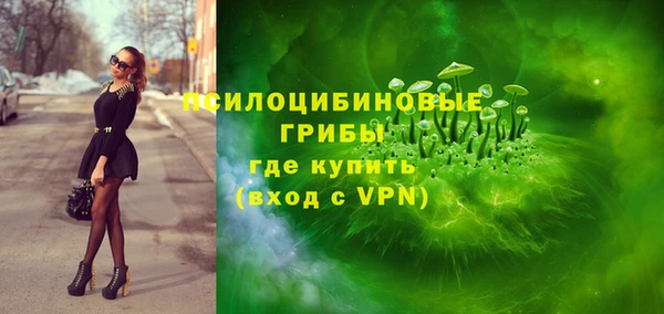 спайс Богородск