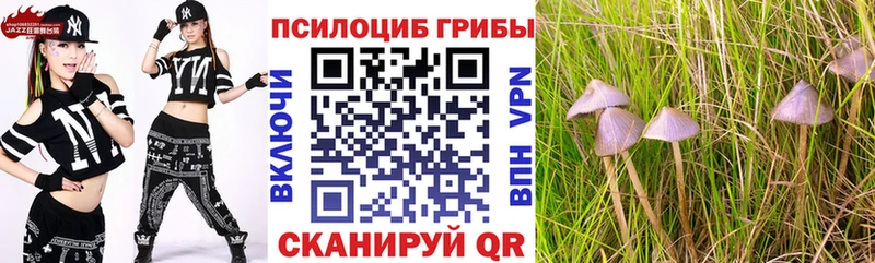 маркетплейс состав  Вилючинск  Псилоцибиновые грибы Psilocybine cubensis 